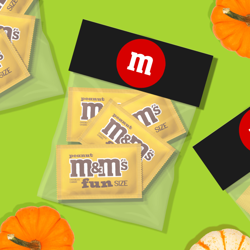 M&M'S Fun Size Peanut Milk Chocolate Candy
